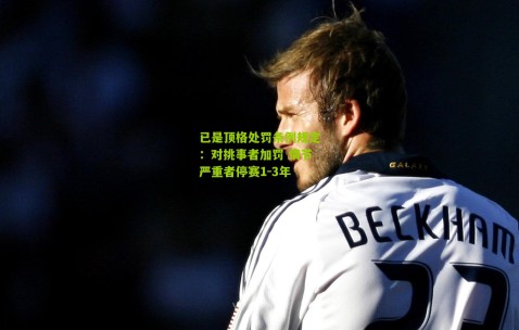 已是顶格处罚条例规定：对挑事者加罚 情节严重者停赛1-3年